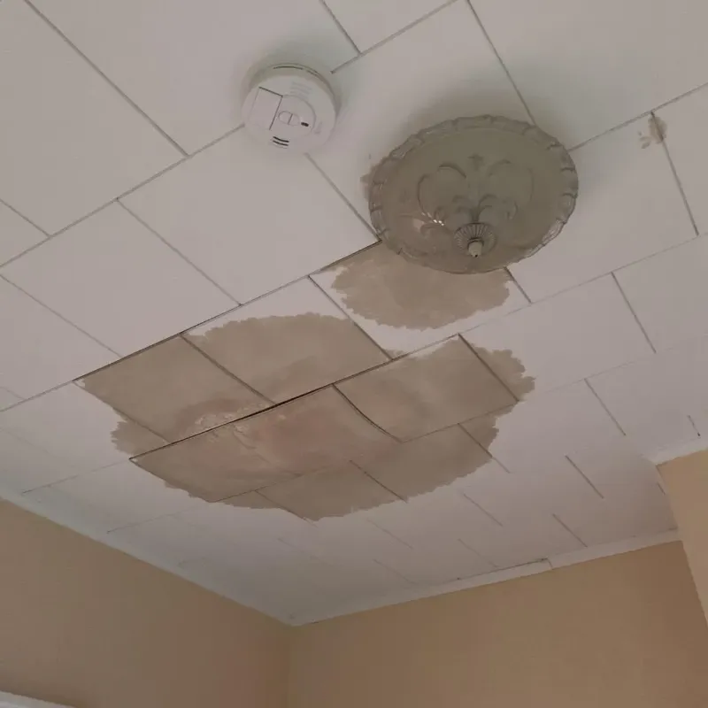 Ceiling Water Damage Repair in Clendenin, WV
