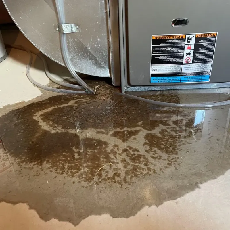Pipe Burst and Leak Restoration in Clendenin, WV