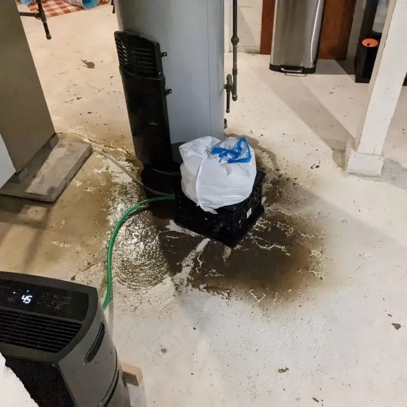 Sewage Backup Cleanup Service in Clendenin, WV